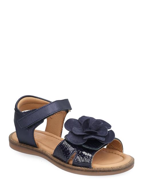 Bisgaard Agnes O Bisgaard Navy