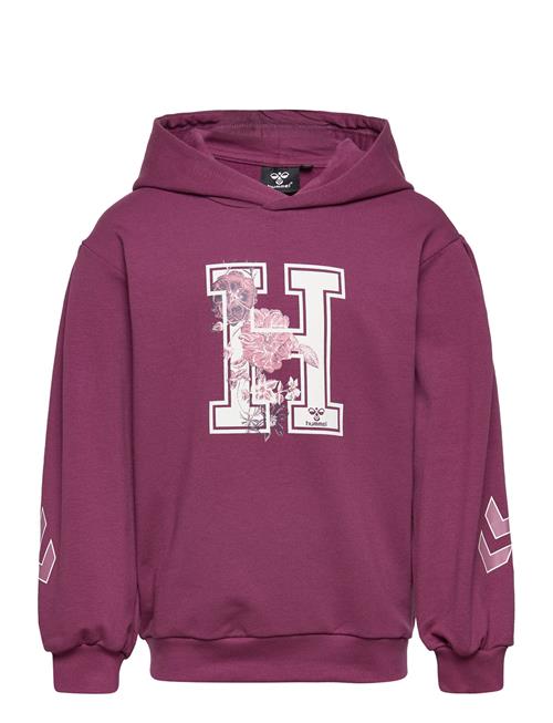 Hummel Hmlastrology Hoodie Hummel Purple