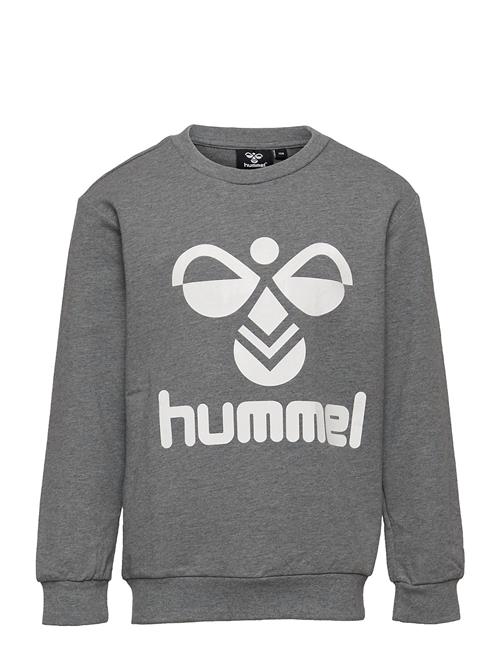 Se Hummel Hmldos Sweatshirt Hummel Grey ved Booztlet