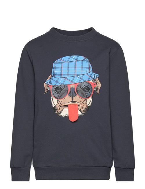 Se Minymo Sweatshirt Ls Minymo Blue ved Booztlet