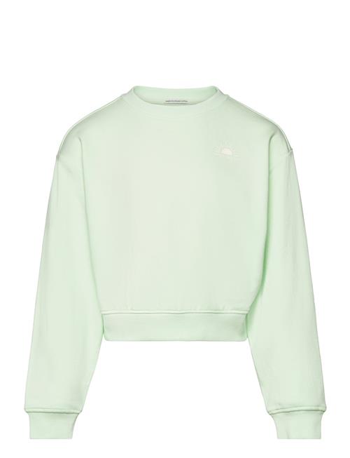 Se Tom Tailor Cropped Printed Sweatshirt Tom Tailor Green ved Booztlet