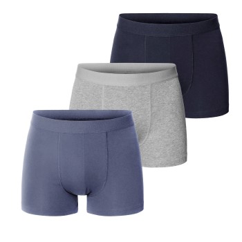 Bread & Boxers Bread and Boxers Boxer Briefs 3P Flerfarvet-2 økologisk bomuld XX-Large Herre