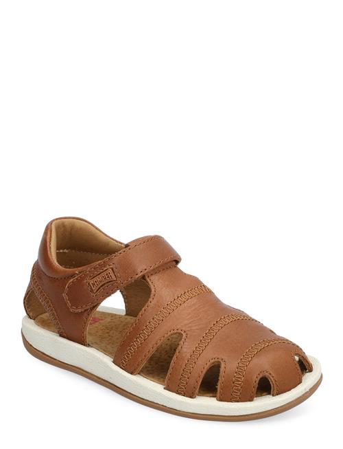 Bicho Fw Camper Brown