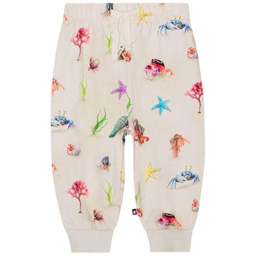 Se Molo GOTS Simeon Joggingbukser Hermit Crab | Beige | 68 cm ved Babyshop