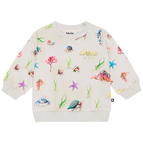 Se Molo GOTS Disc Sweatshirt Hermit Crab |  | 92 cm ved Babyshop