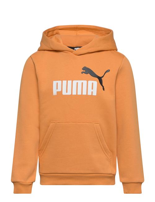 Ess+ 2 Col Big Logo Hoodie Fl B PUMA Orange