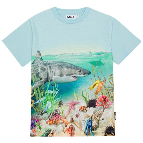 Molo GOTS Roxo T-shirt Shore Life | Blå | 128 cm