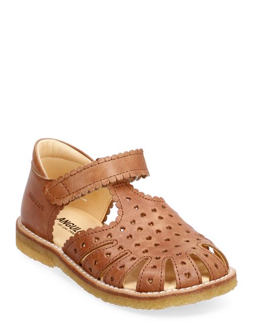 Se ANGULUS Sandals - Flat - Closed Toe - ANGULUS ved Booztlet