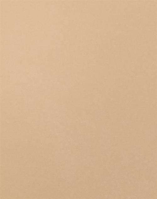 Bye Bra - Beige - Invisible Short
