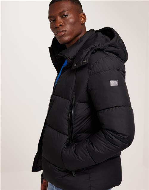 Casual Friday CFWilson 0085 short puffe Puffer jackets Anthracite