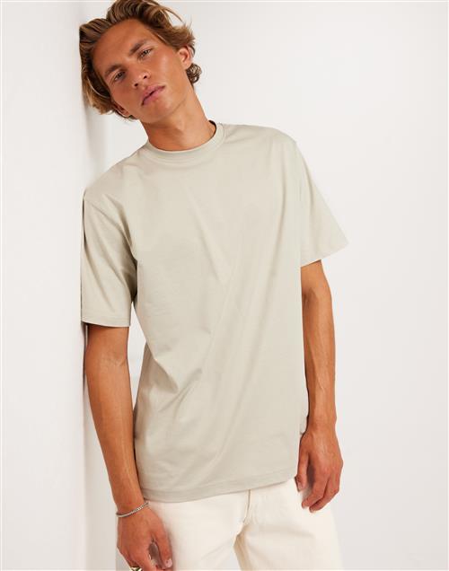 Only & Sons Onsfred Life Rlx Ss Tee Noos Kortærmede t-shirts Silver Lining