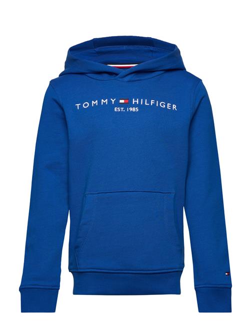 Tommy Hilfiger U Corp Logo Ess Hoodie Tommy Hilfiger Blue