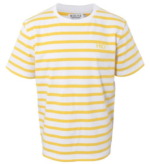 Se Hound Hound T-shirt - Lemon ved KidsWorld