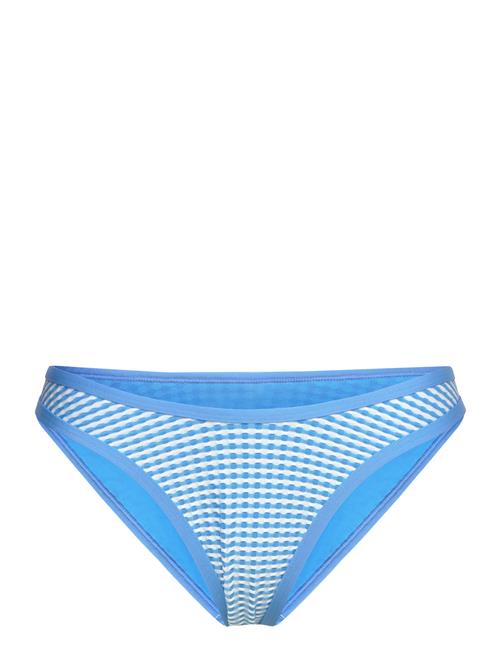 Gingham Scoop Bottom Speedo Blue