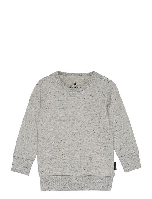 JBS of Denmark Jbs Of Dk Baby Sweatshirt Fsc, JBS Of Denmark Grey