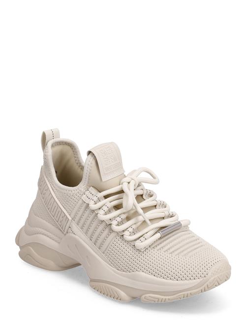 Steve Madden Mac-E Sneaker Steve Madden Beige