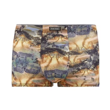 Bruno Banani Golden Africa Hipshort Flerfarvet polyester Medium Herre