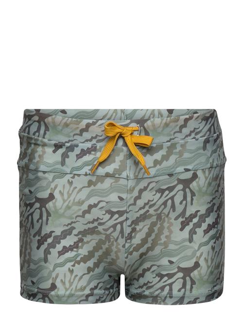 Gerryan Printed Swim Shorts MINI A TURE Green