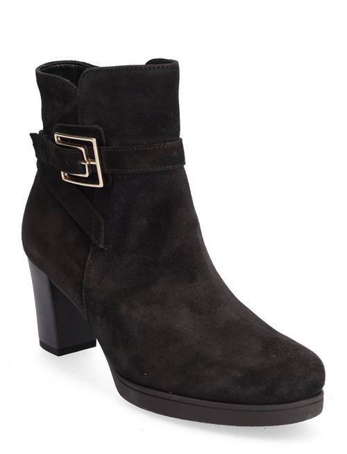 Se Gabor Ankle Boot Gabor Black ved Booztlet