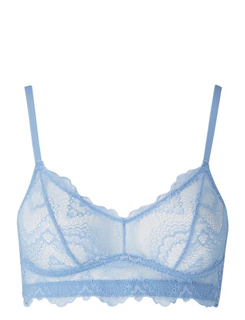 Understatement Underwear Lace Balc Tte Understatement Underwear Blue