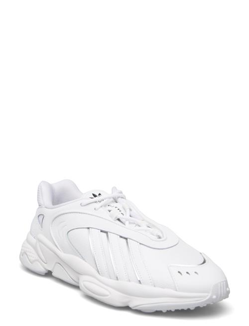 adidas Originals Oztral Adidas Originals White