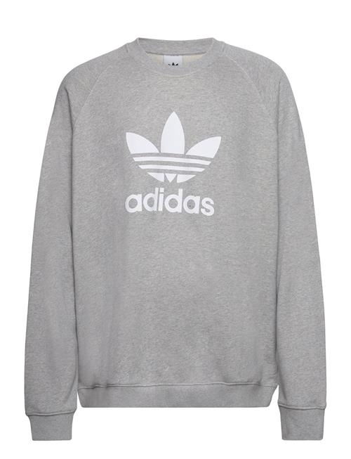 adidas Originals Adicolor Classics Trefoil Crewneck Sweatshirt Adidas Originals Grey