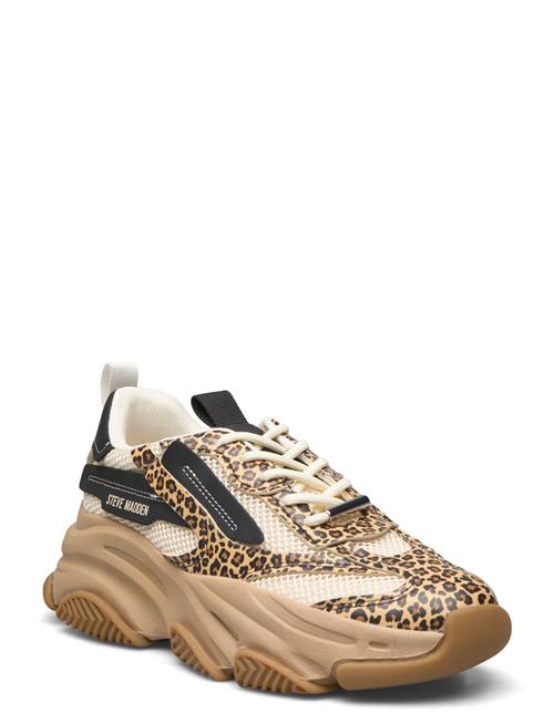 Se Steve Madden Possession-E Sneaker Steve Madden Beige ved Booztlet