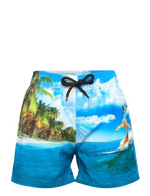 ZigZag Tino Boardshorts ZigZag Patterned