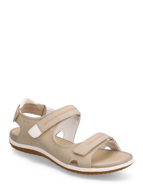 D Sandal Vega A GEOX Brown