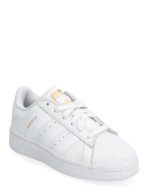 adidas Originals Superstar Xlg J Adidas Originals White