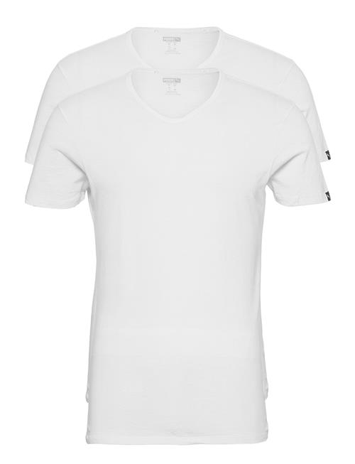 PUMA Puma Basic 2P V-Neck PUMA White