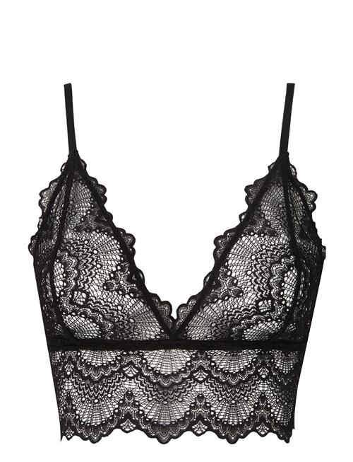 Se Saboteur Lace Bralette Top Understatement Underwear Black ved Booztlet