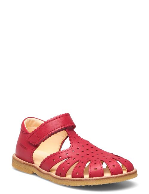 ANGULUS Sandals - Flat - Closed Toe ANGULUS Red