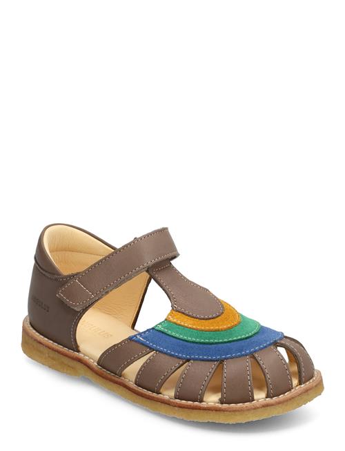 Se ANGULUS Sandals - Flat - Closed Toe - ANGULUS Patterned ved Booztlet