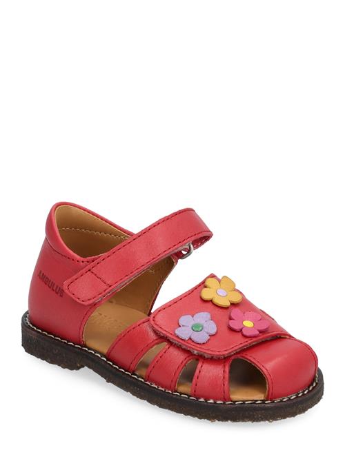 ANGULUS Sandals - Flat - Closed Toe - ANGULUS Red