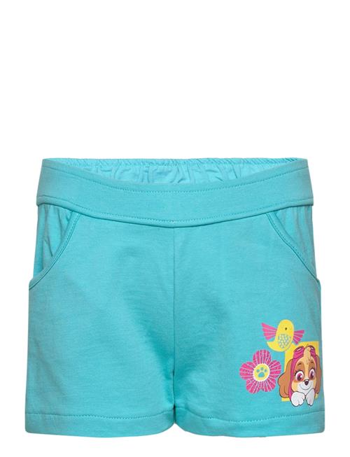 Pant Paw Patrol Blue