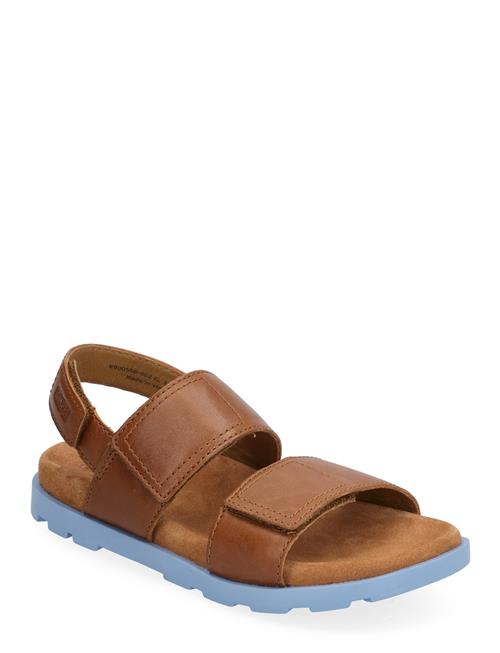 Brutus Sandal Camper Brown