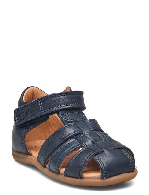 Bisgaard Bisgaard Carly Bisgaard Navy