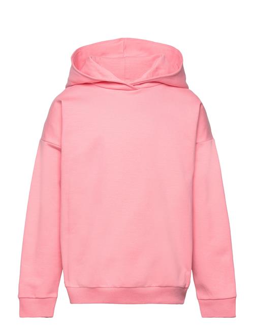 College Hoodie Gugguu Pink