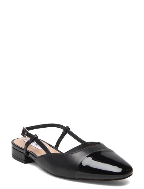 Belinda Ballerina Steve Madden Black