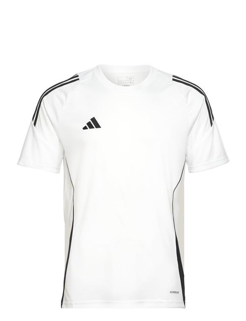 adidas Performance Tiro24 Jsy Adidas Performance White