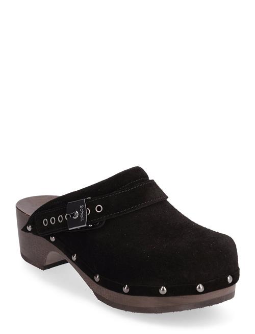 Scholl Sl Pescura Robin Suede Black Scholl Black