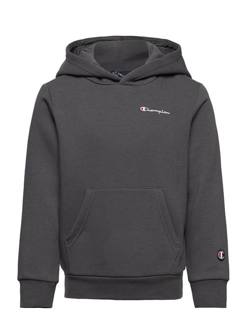 Champion Hooded Sweatshirt Champion Grey