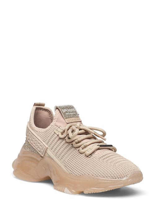 Maxilla-R Sneaker Steve Madden Beige