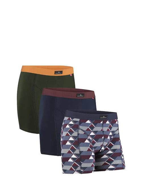 Classic Trunks 3 Pack Danish Endurance Patterned