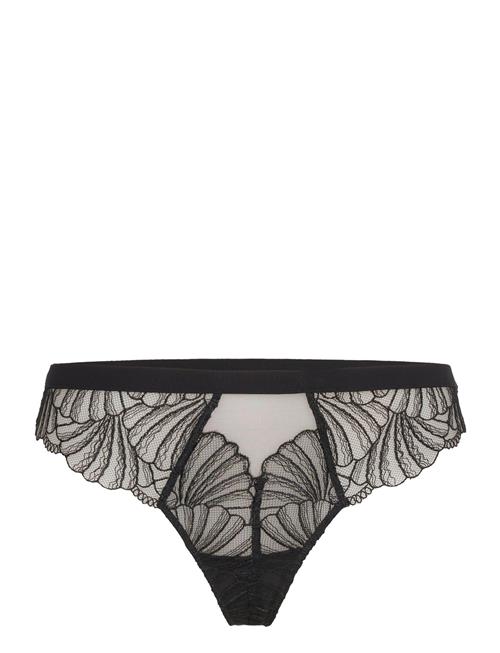 Se Calvin Klein Thong Calvin Klein Black ved Booztlet