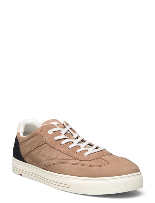 Lloyd Edik Lloyd Beige