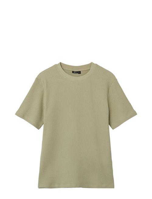 Nlmhunor Ss L Top LMTD Green