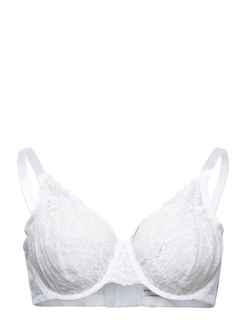 Se Lindex Bra Aster Emelie Lace Plus Lindex White ved Booztlet