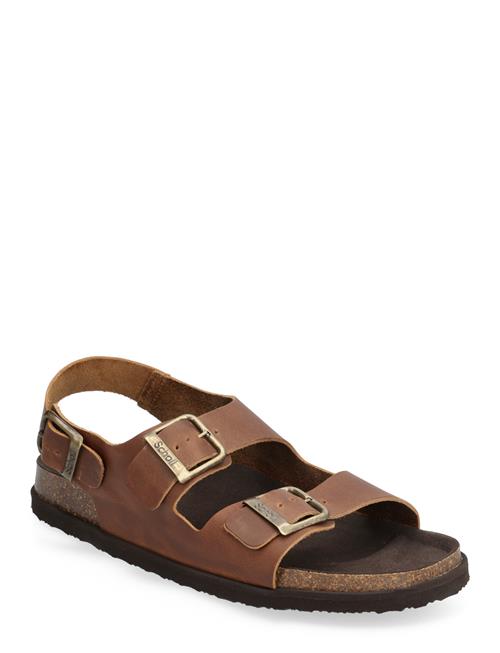 Scholl Sl Gaston Leather Scholl Brown